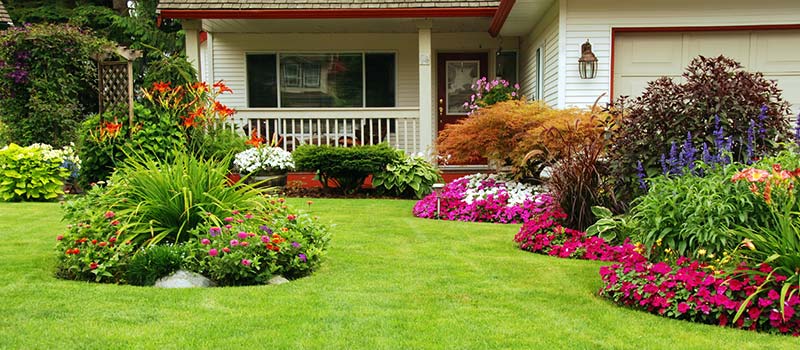 The Science of Curb Appeal: Why First Impressions Sell Homes Faster