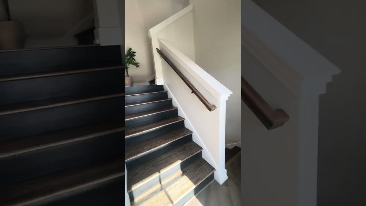 Dream Colorado Horse Ranch!