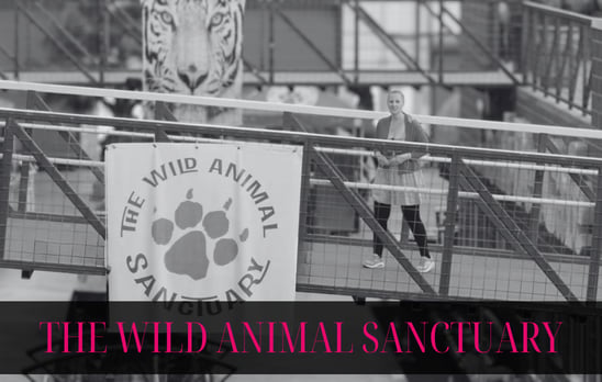  The Wild Animal Sanctuary