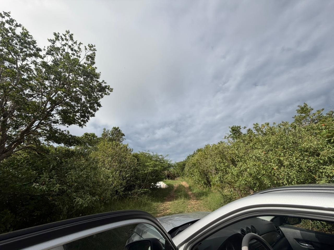 1096 George's Northside 0.68 Acre Lot