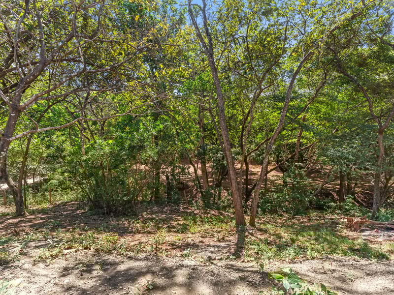 Los Jobos | Tropical Modern Home Near Tamarindo!