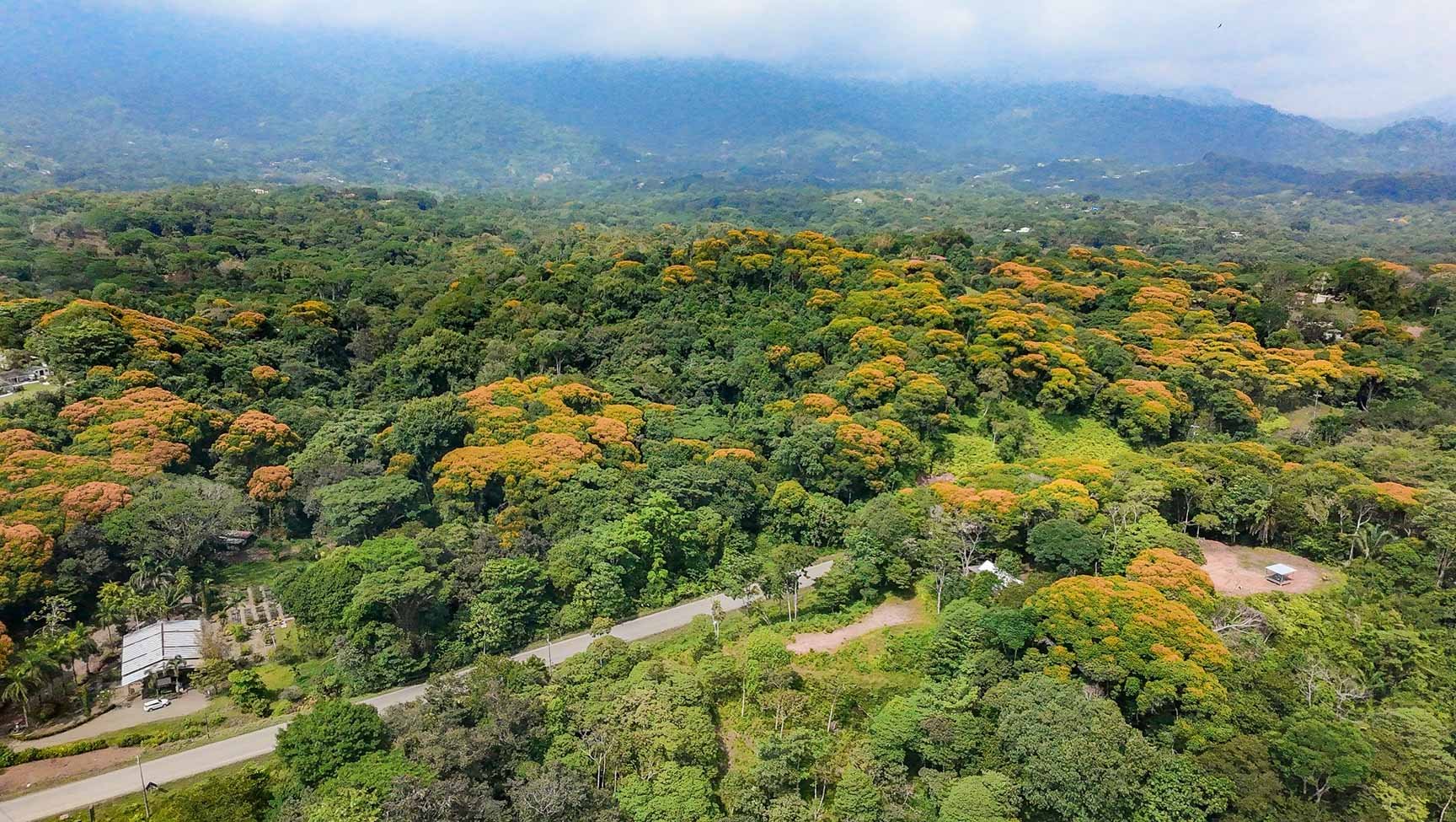 23-Acre Prime Highway Frontage Lot Near Ojochal & Ocean