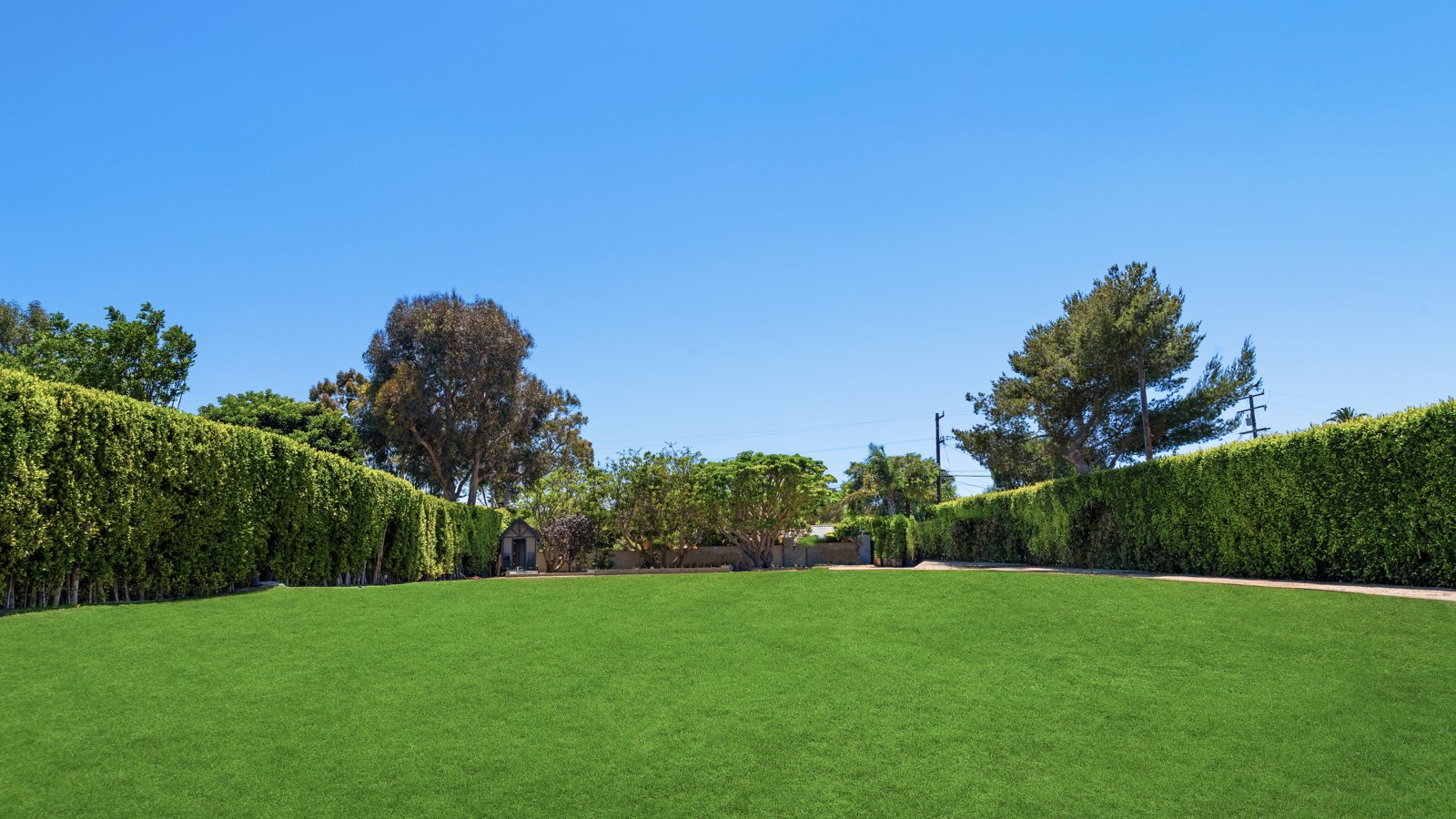 28867 Grayfox St