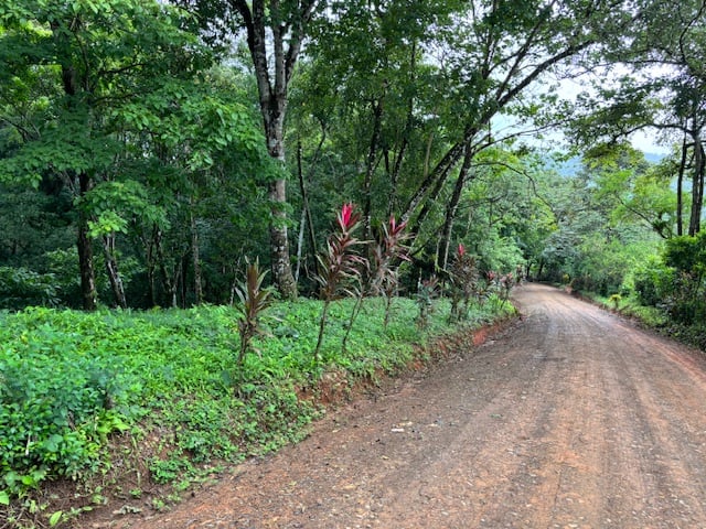17.85 ACRES – Stunning Large Land With 2 Waterfalls Near Dominical Beach!!!