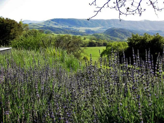 Corral De Tierra