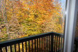 Okemo Trailside 54A