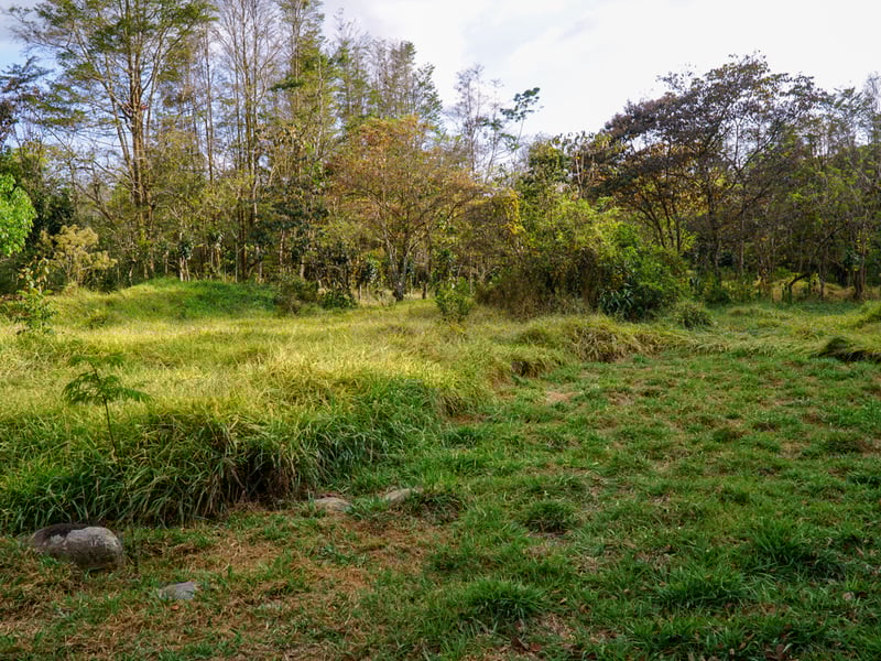 Reduced! - Newly Built Home Near Rivas with 6 Acres on the Buena Vista River