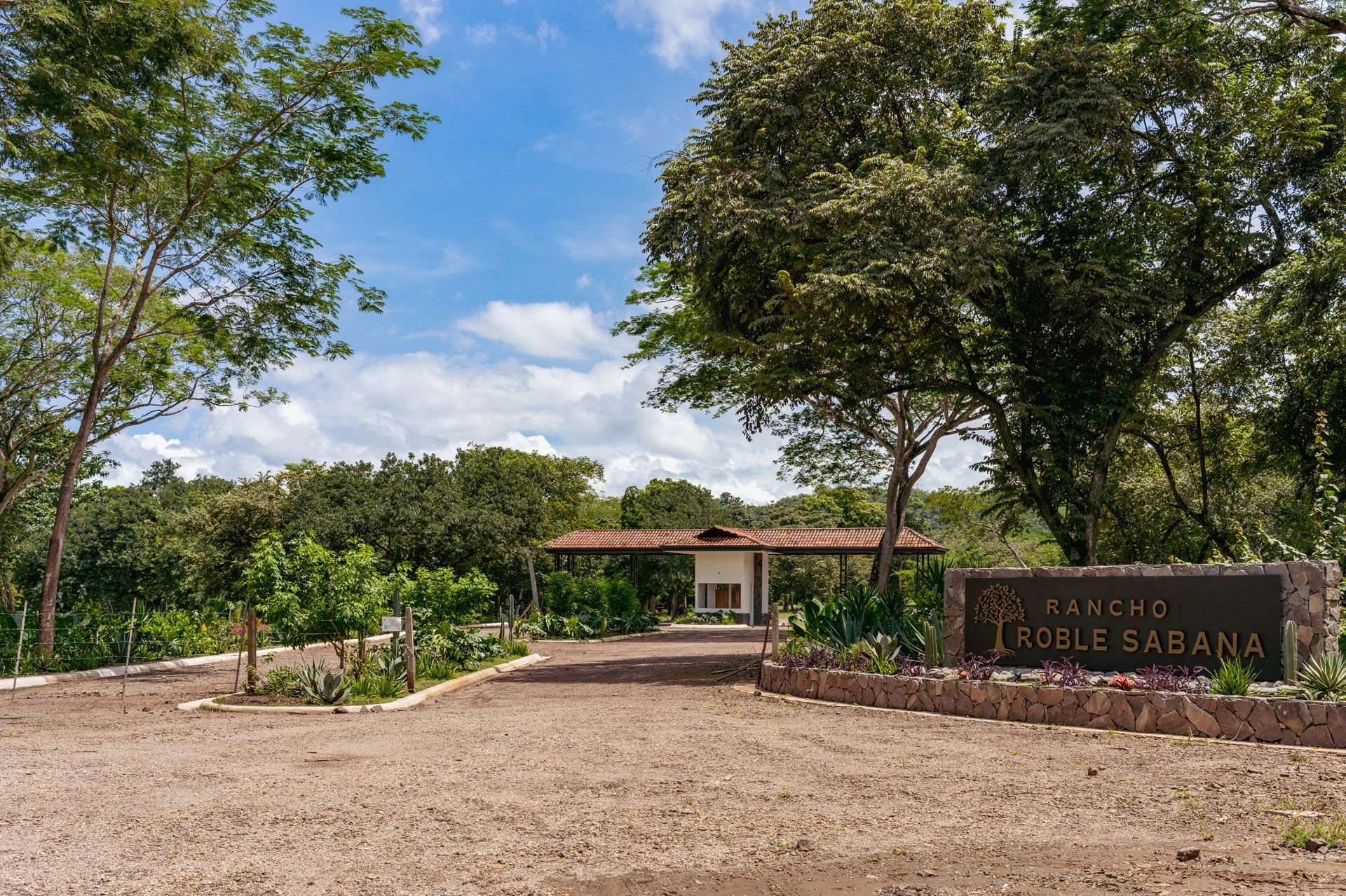 Roble Sabana, Linderos, Guanacaste