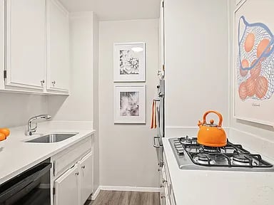 301 E 75th St APT 11E