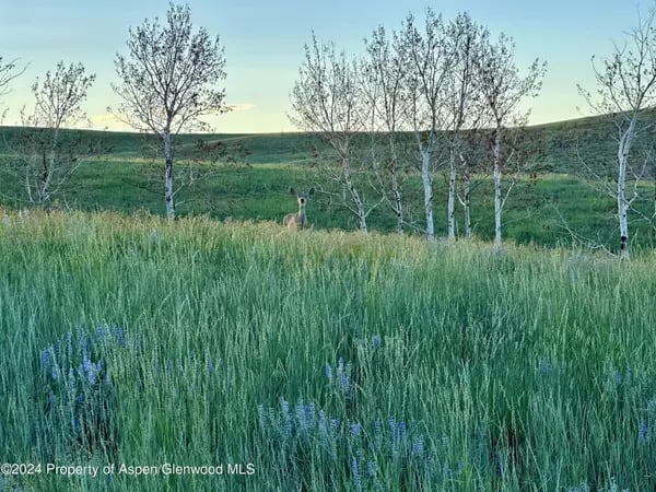 Deer in a grassy field among wildflowers and slender trees, with green hills beyond.