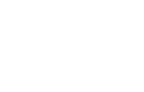 Light Logo