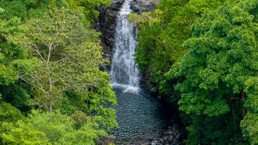 Whale Tail Views Luxury Waterfall Farm