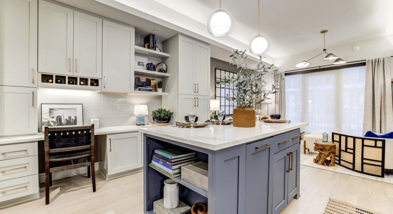 Blue island and quartz countertops