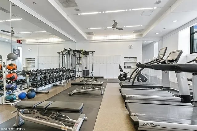 11 E Walton St APT 3101