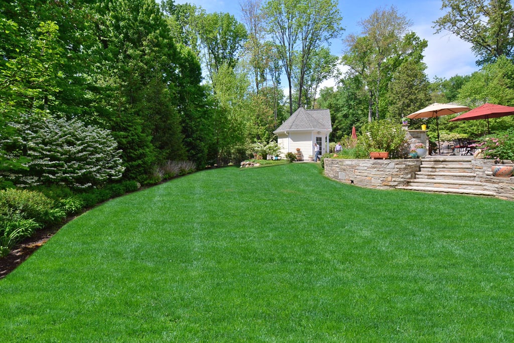 203 Wearimus Rd