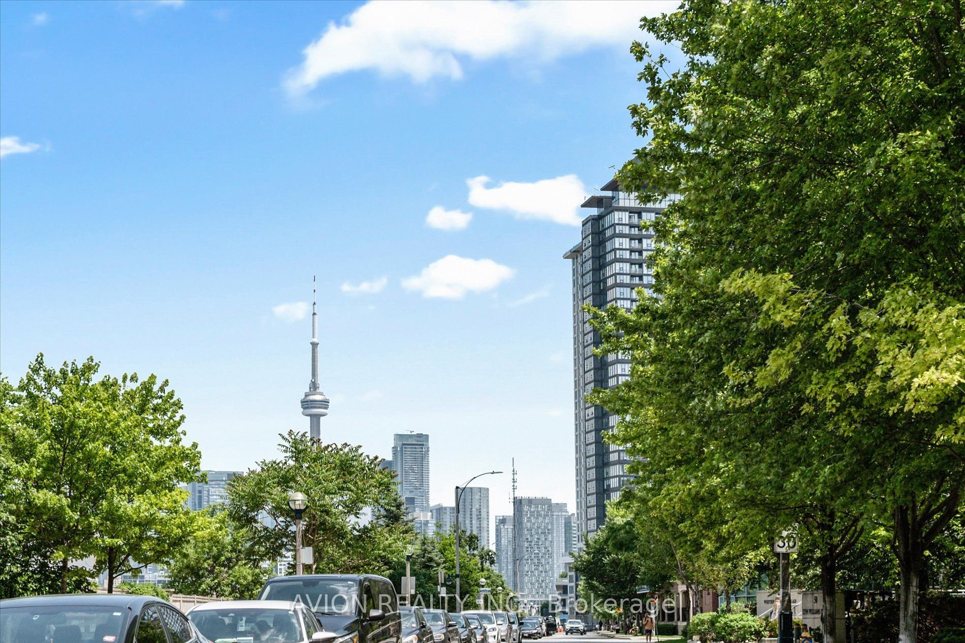 LIBERTY VILLAGE GOALS