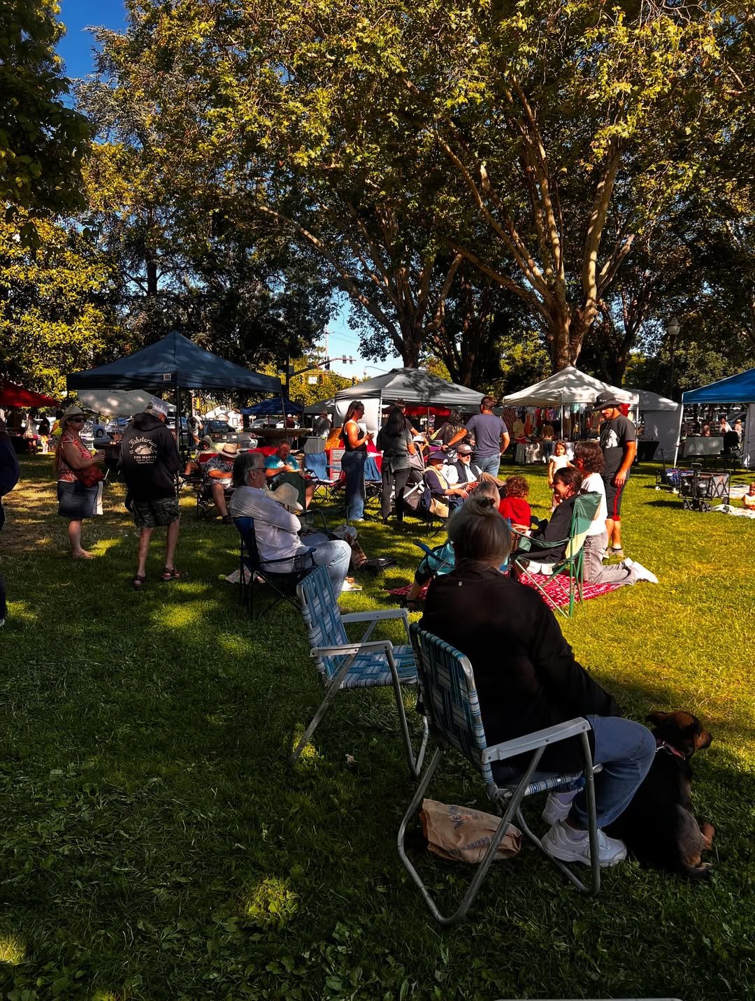 Summer afternoon at Cotati La Plaza Farmers Market with locals, food, and live music