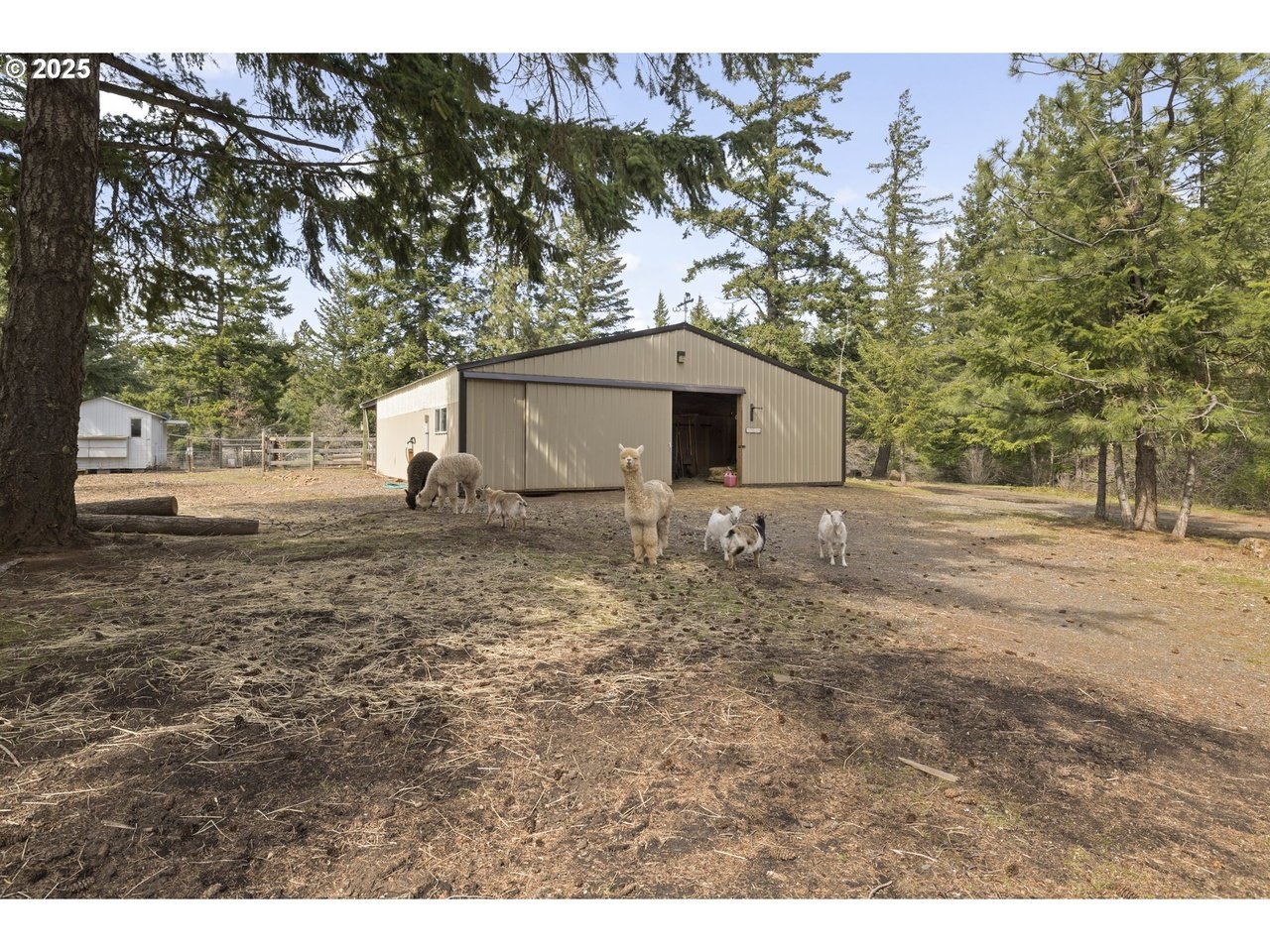 20 Silva Cutoff Rd