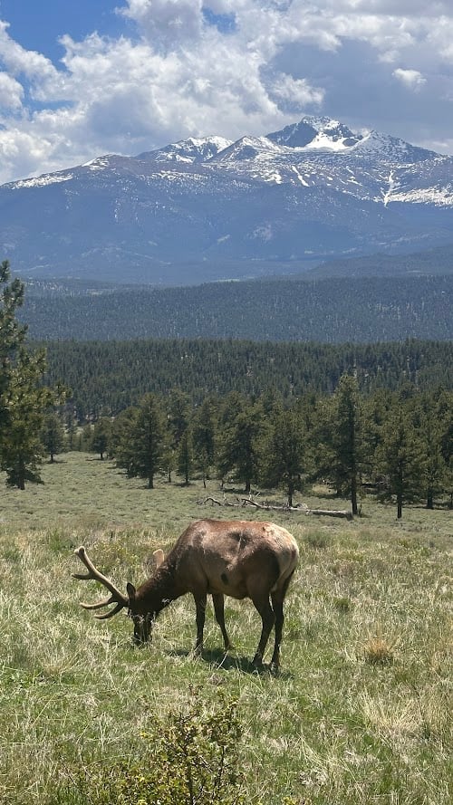 Where the Road Meets the Sky: Driving Trail Ridge Road