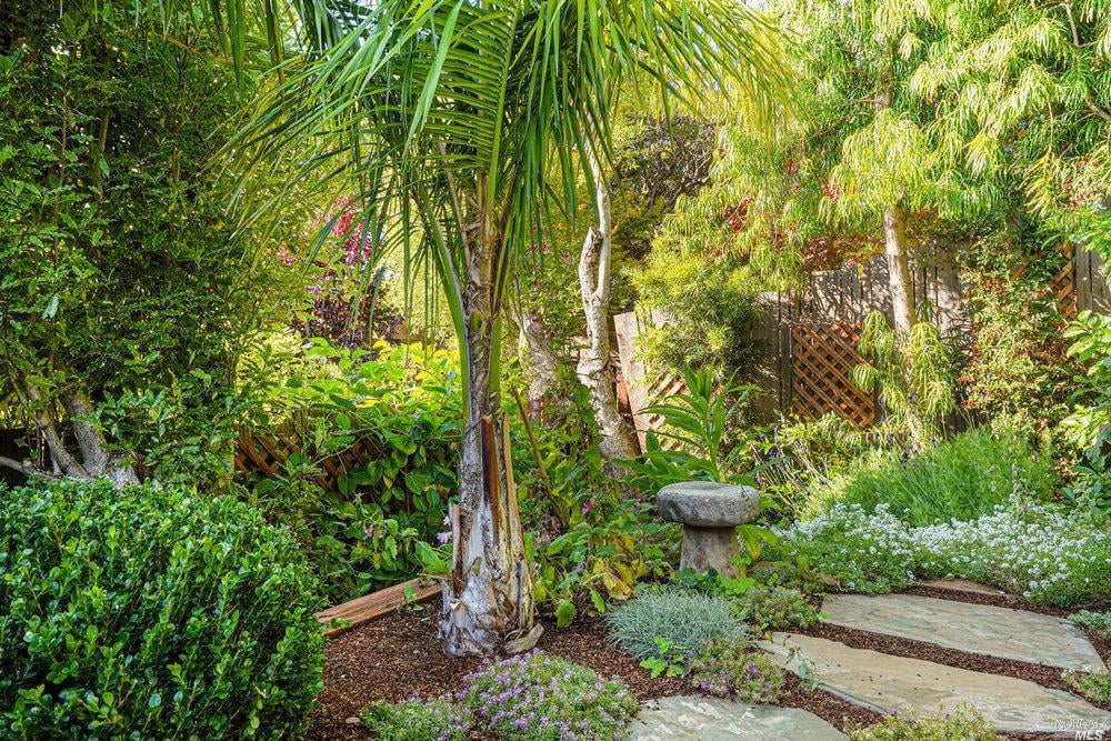 174 San Carlos Ave