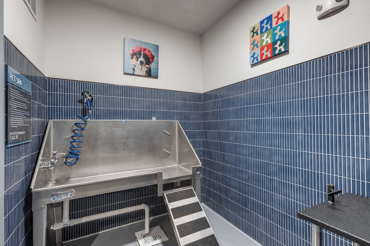 NO RENT until April 2026! 