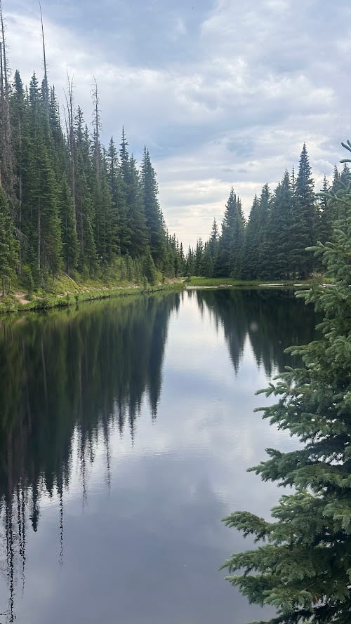 Where the Road Meets the Sky: Driving Trail Ridge Road