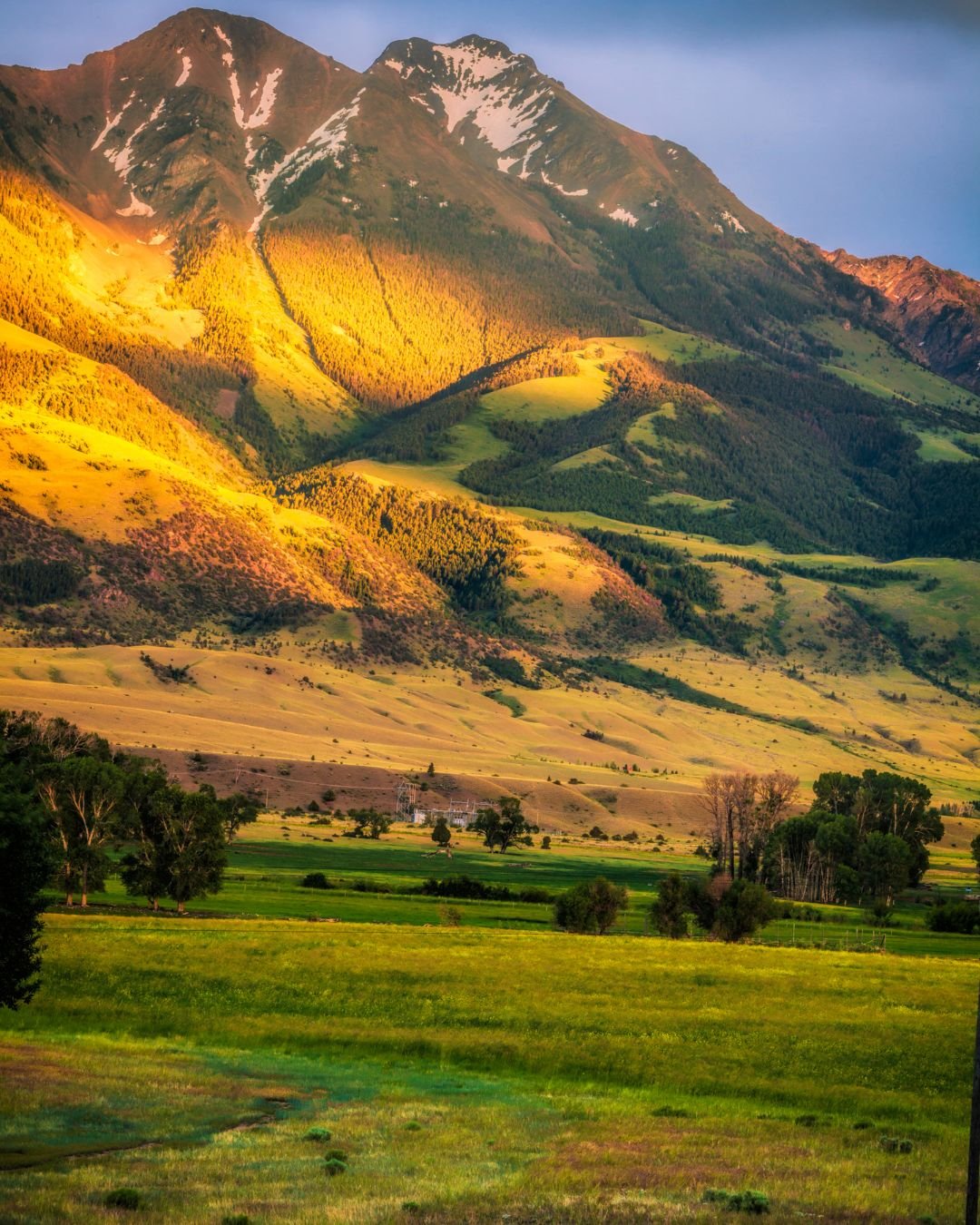 May in the Madison Valley