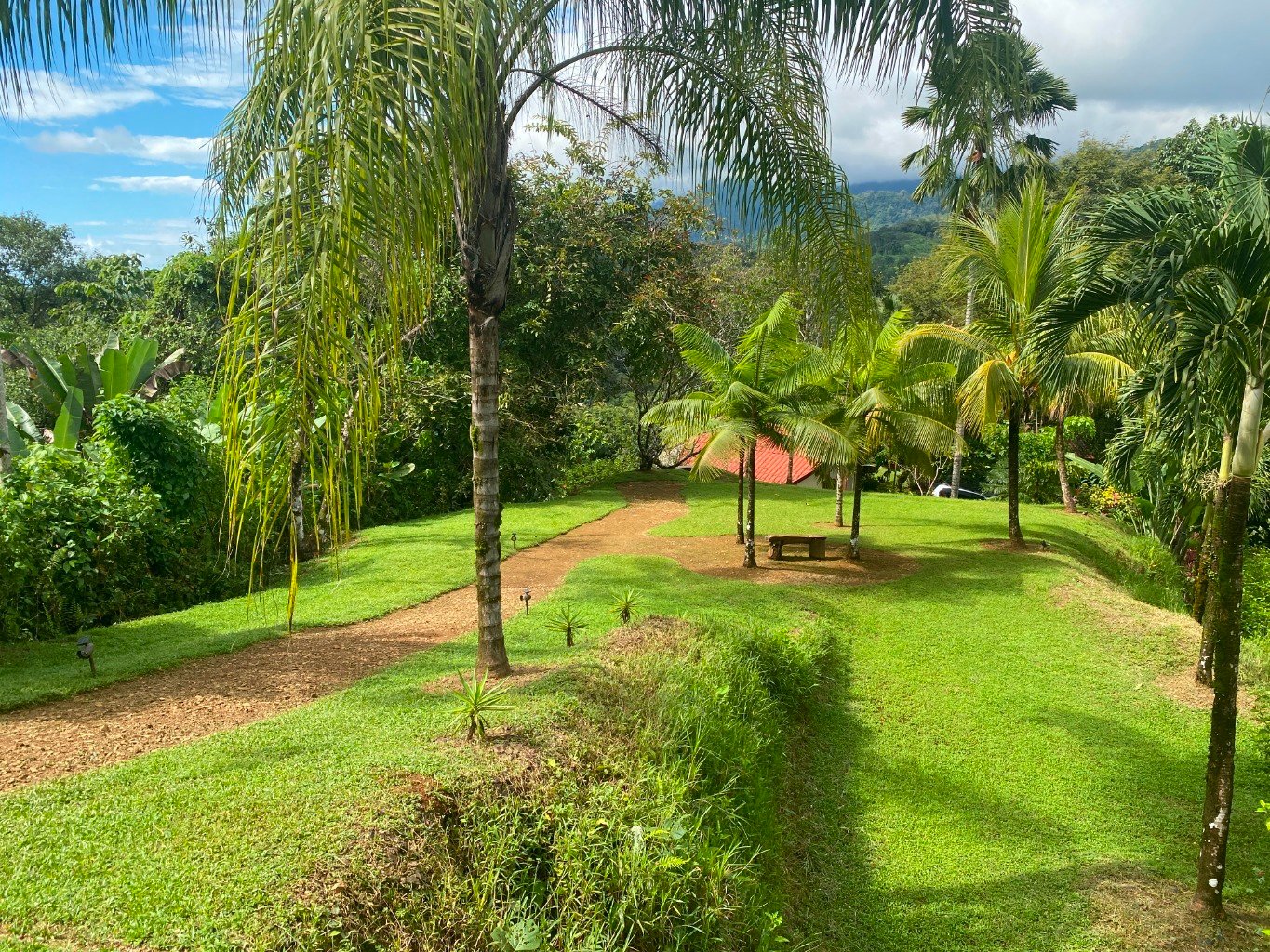 Stunning 3.5-Acre Ocean View Property in Costa Rica – Endless Possibilities Await!