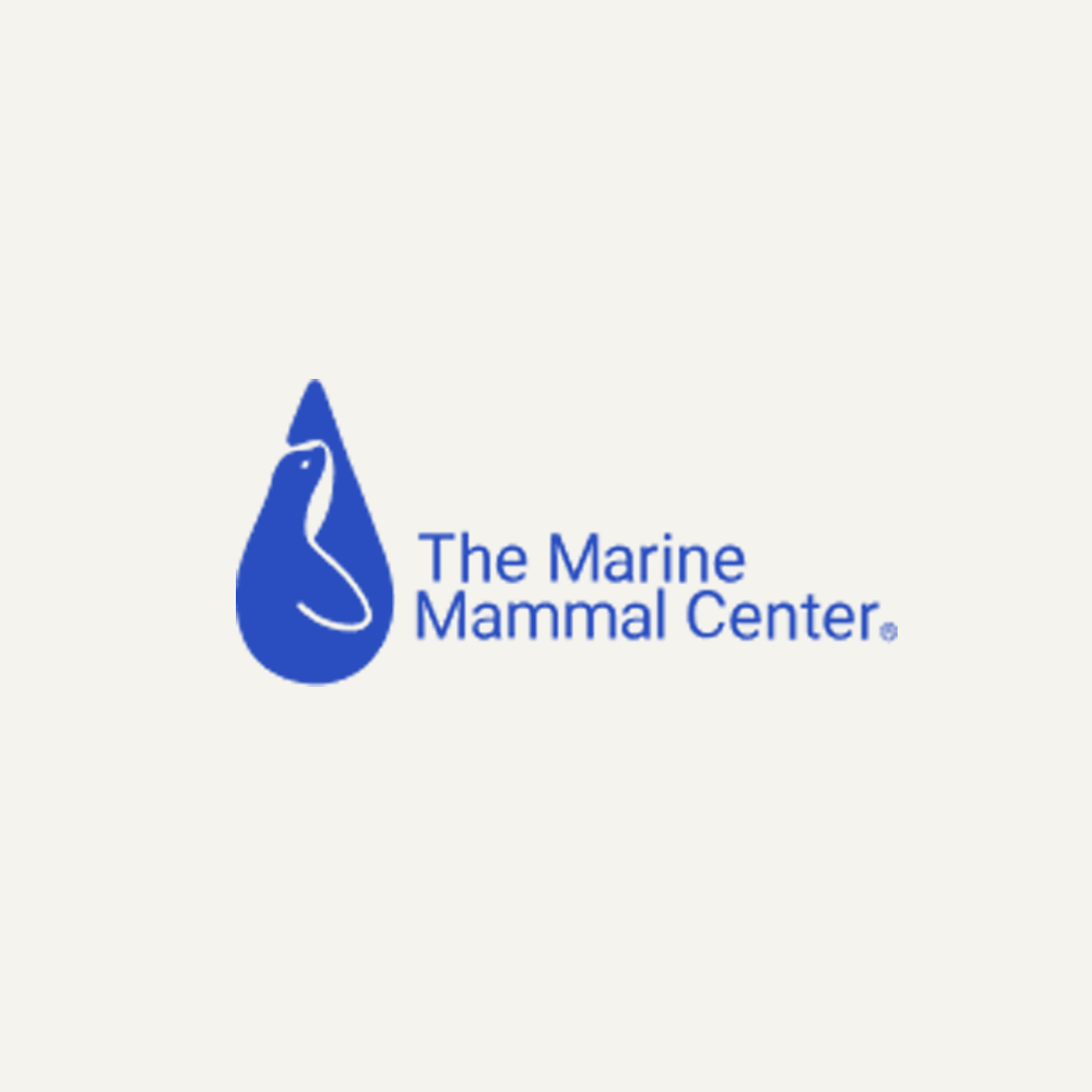 main