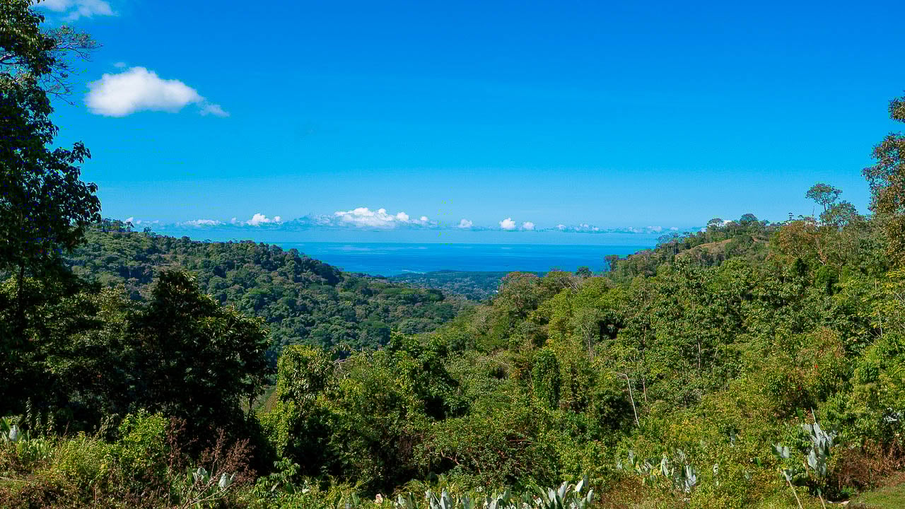 Whale Tail Views Luxury Waterfall Farm
