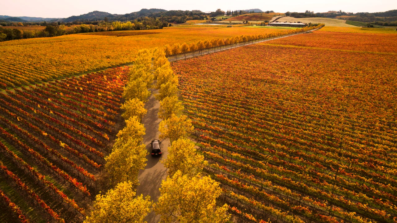 Alexander Valley Named Among Best Places To Go In 2025 by Condé Nast Traveler