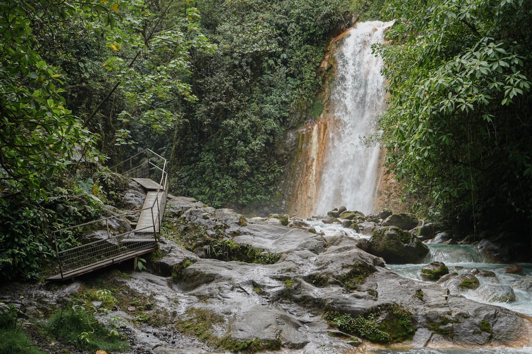 La Monarca