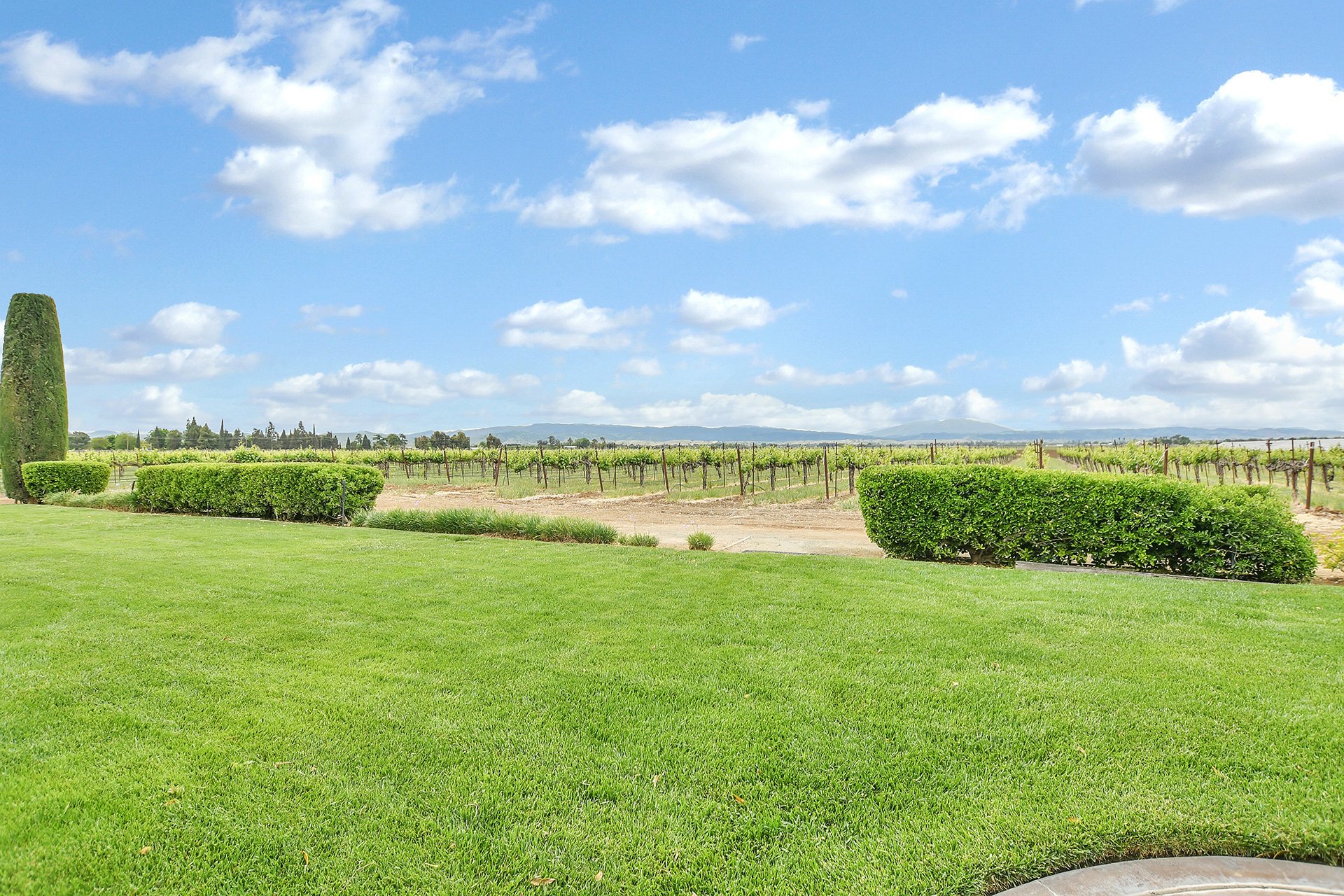 Brentwood Vineyard Estate