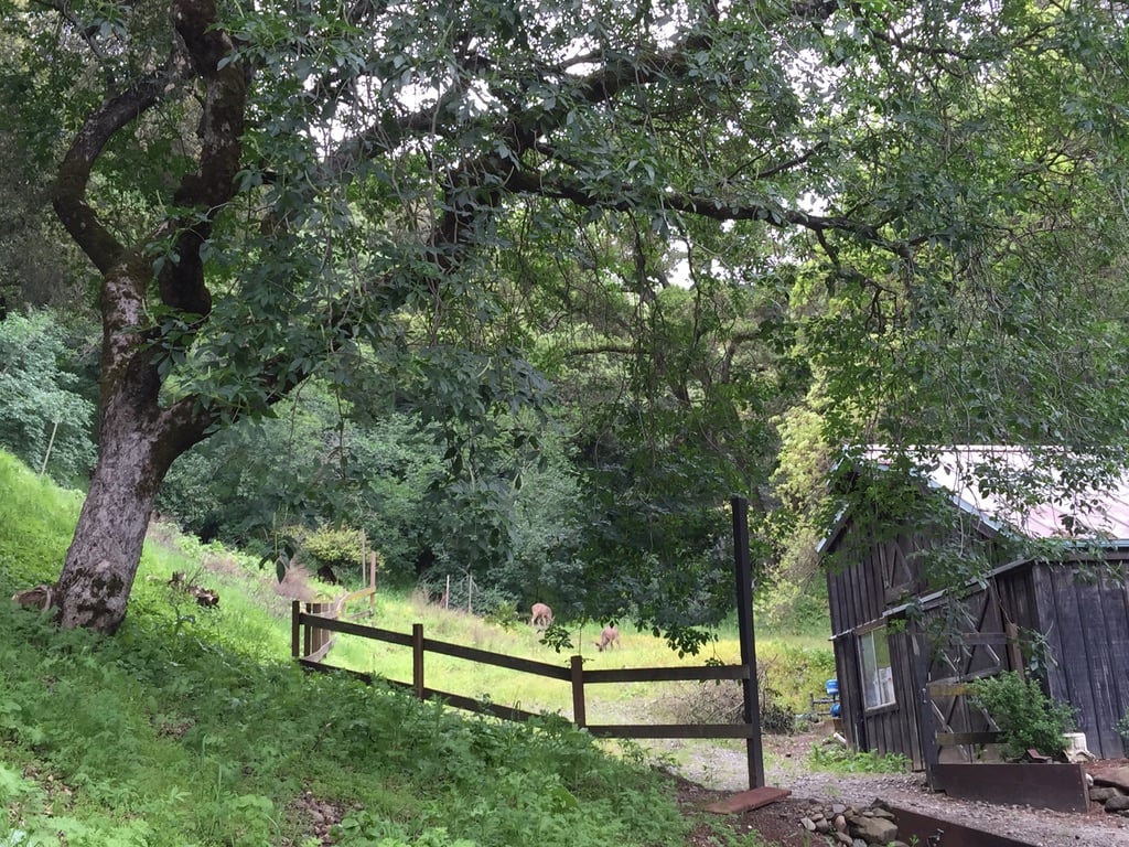 270 Kilkare Road, Sunol