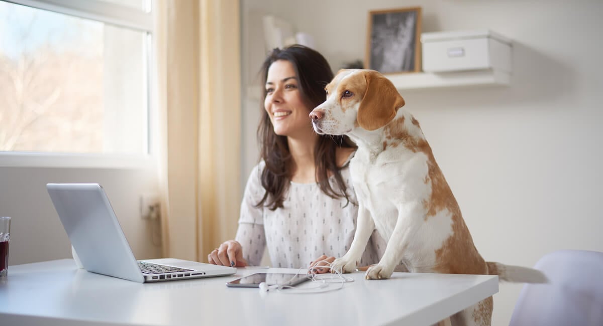 Cool Uses For Your Garage