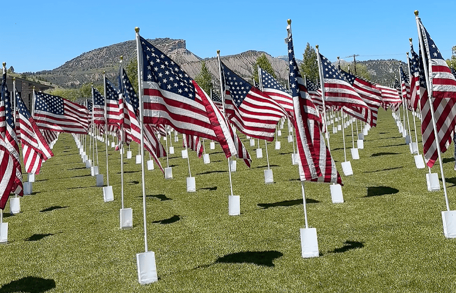 Rows of American flags on a grassy field beneath distant mountains.