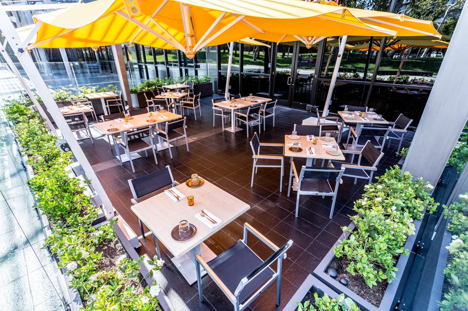 Outdoor patio seating under yellow umbrellas at Vaca.