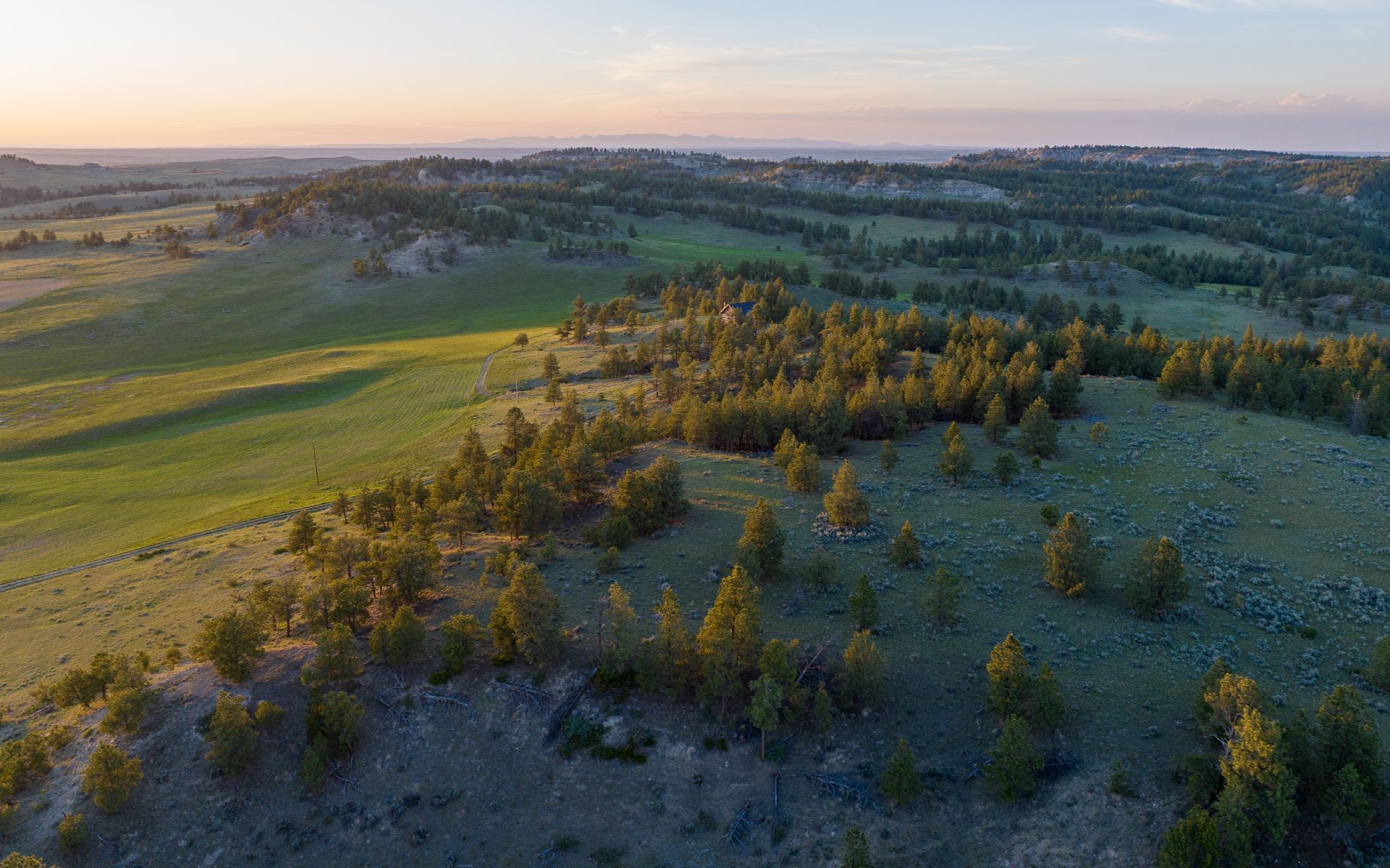 Elk Rich Ranch