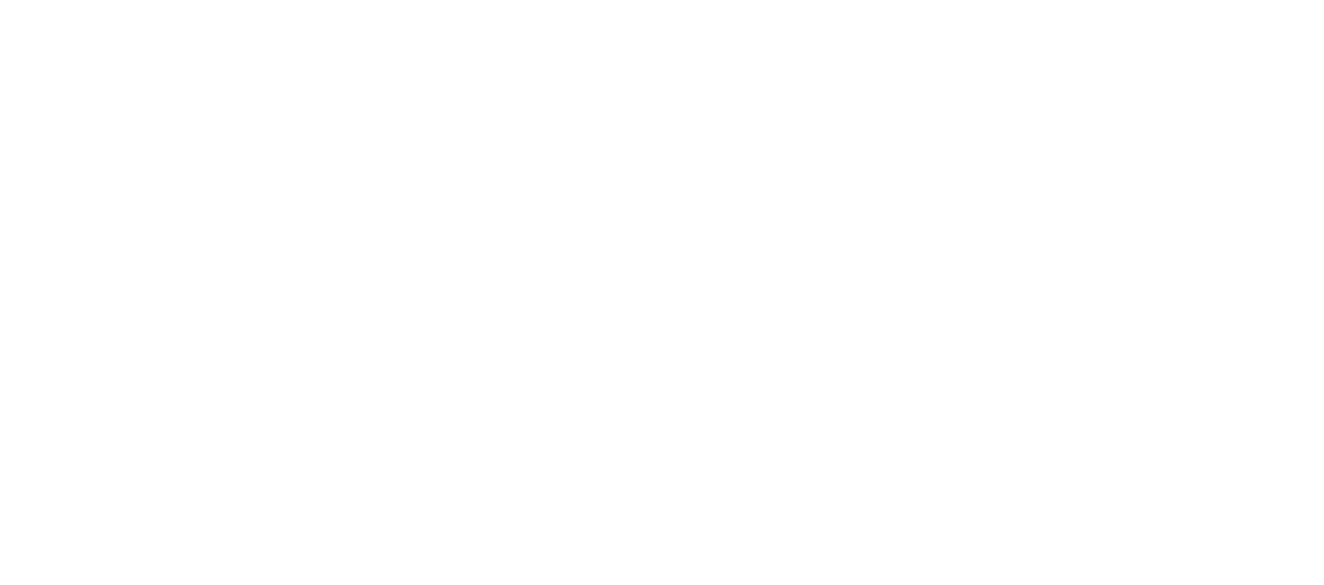 Light Logo