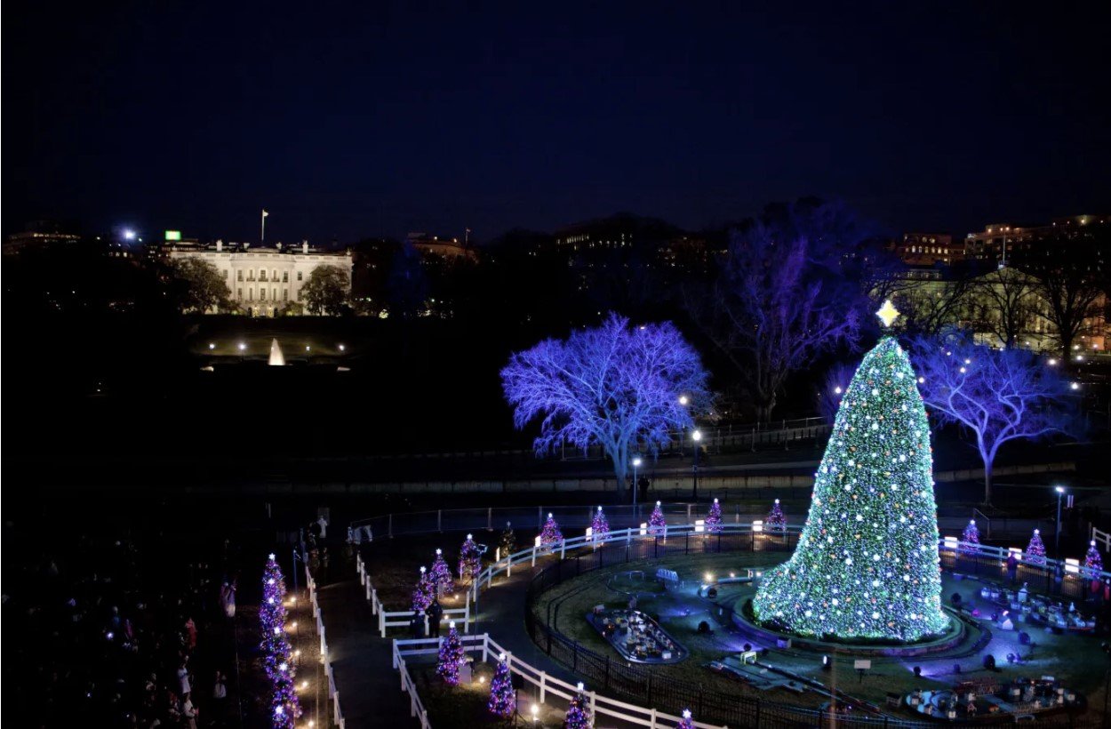 Winter Fun In The DMV