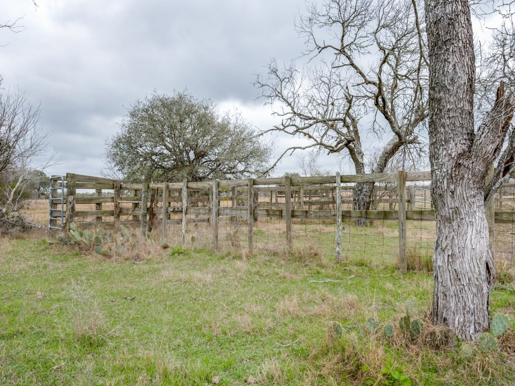 300 Acres in Goliad County 