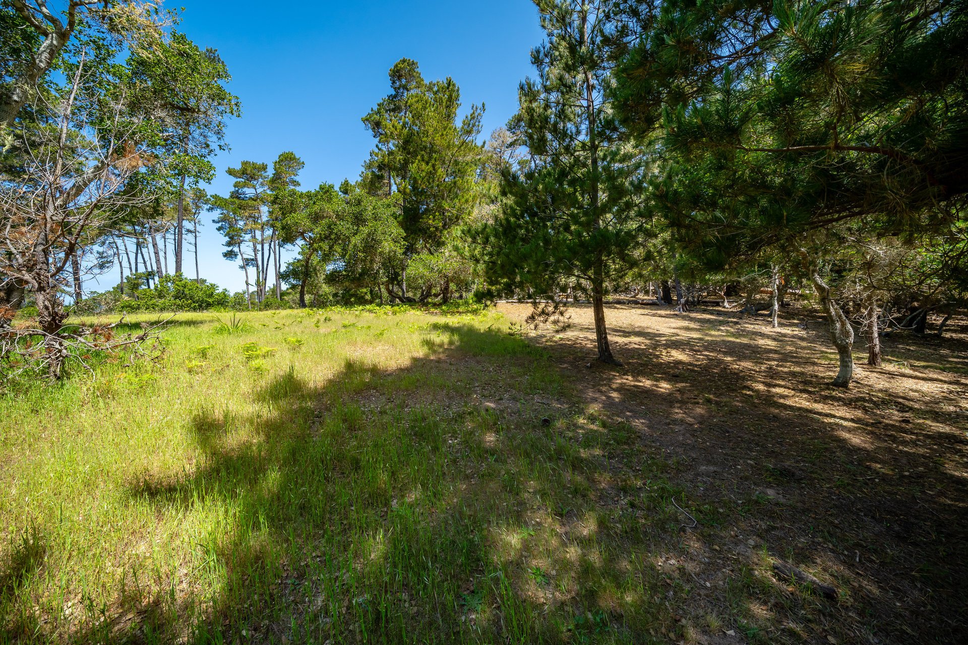 Serene Cambria Lot