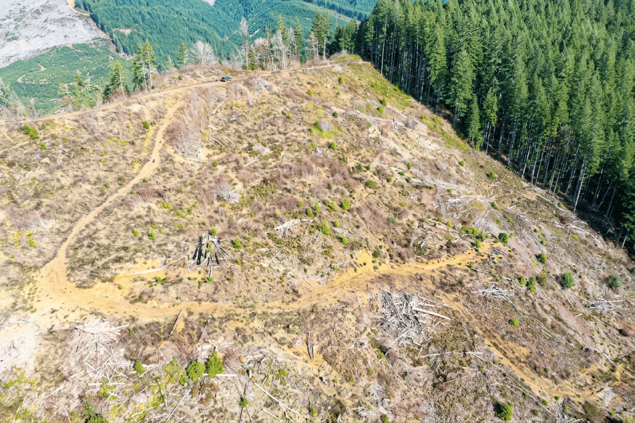 Smith River Back Woods