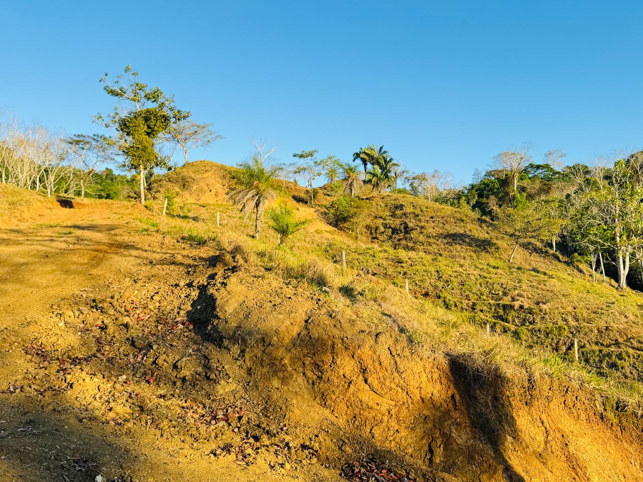 Finca Herradura | 82-Hectare Ocean View Development Land Near Los Sueños, Jacó