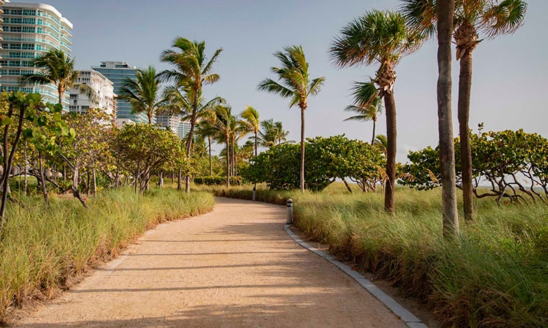 Surf Row Residences - Miami Beach