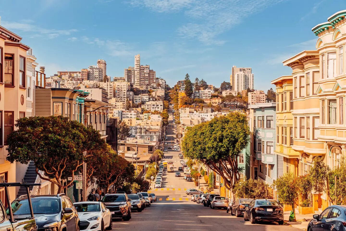 Washington Square Park in North Beach, San Francisco, with people enjoying the open green space and surrounding historic architecture.