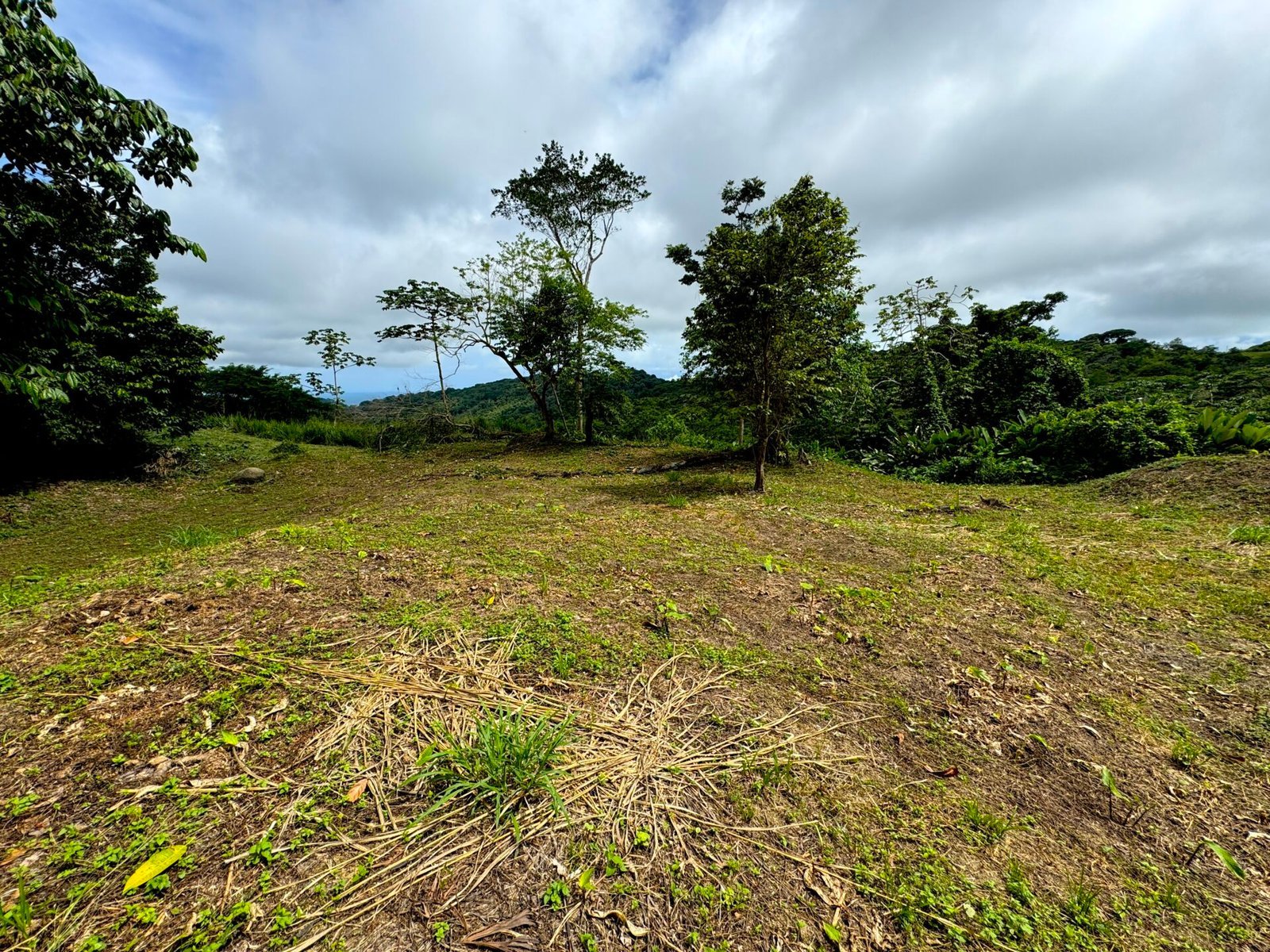 4.76 ACRES – Ocean View Property in Lagunas, Completely Flat And Usable, Commercial Or Residential, Ready To Build!!!