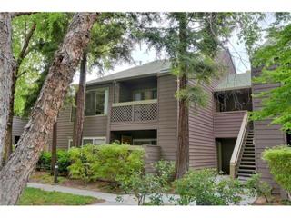 975 Catkin Court