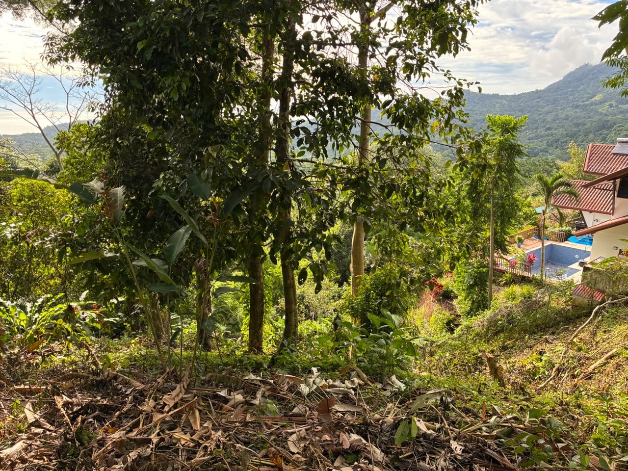 Affordable Ocean View Lot in Ojochal Phase9