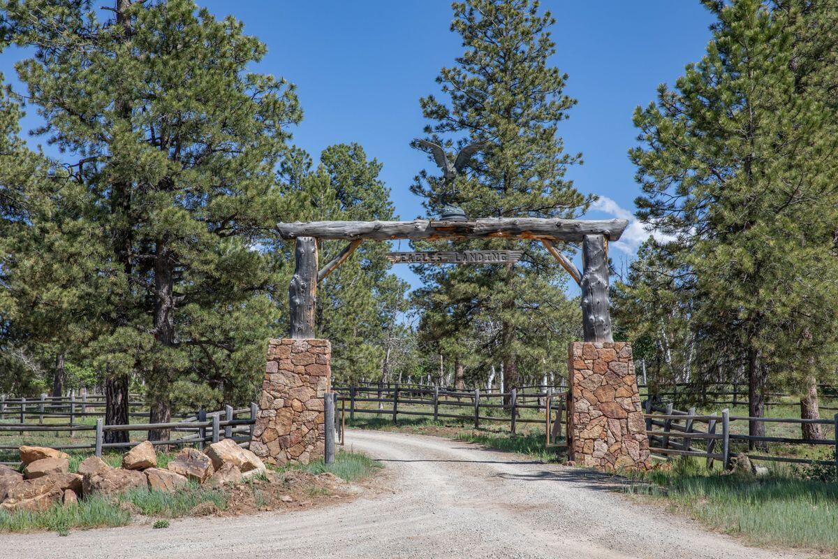 4234 Brown Ranch Road, Placerville, CO 81430